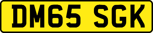 DM65SGK