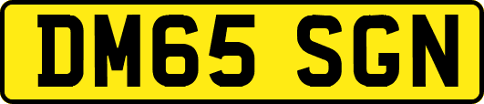 DM65SGN