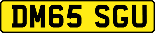 DM65SGU