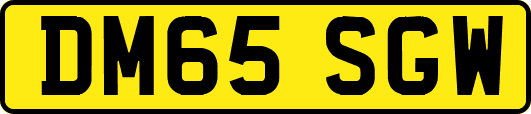 DM65SGW
