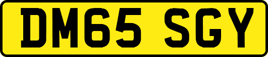 DM65SGY