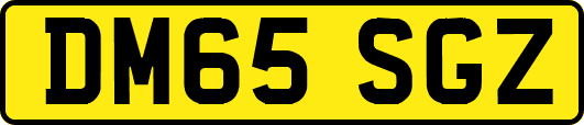 DM65SGZ