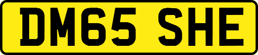 DM65SHE