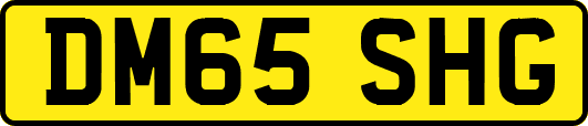 DM65SHG