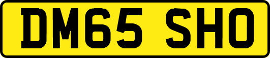DM65SHO