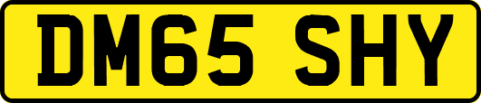 DM65SHY