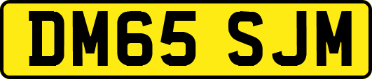 DM65SJM