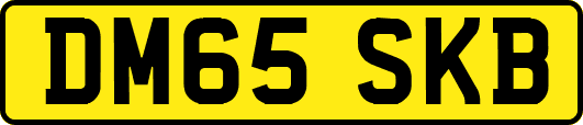 DM65SKB