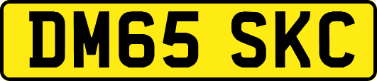 DM65SKC