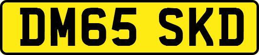 DM65SKD