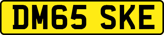 DM65SKE