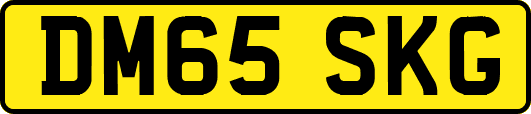 DM65SKG