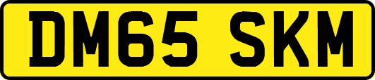 DM65SKM