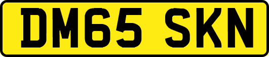 DM65SKN