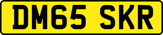 DM65SKR