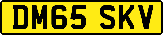 DM65SKV