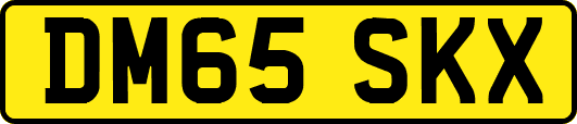 DM65SKX