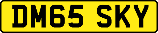 DM65SKY