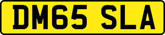 DM65SLA
