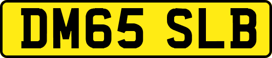 DM65SLB