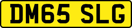 DM65SLG