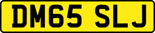 DM65SLJ