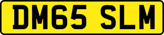 DM65SLM