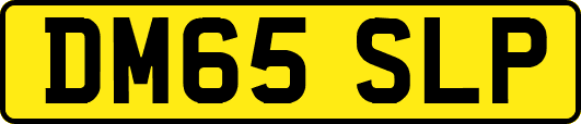 DM65SLP