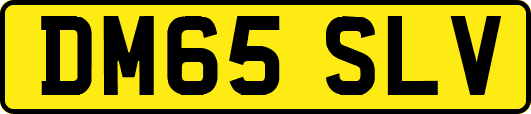 DM65SLV