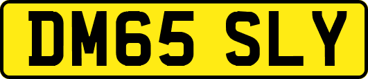 DM65SLY