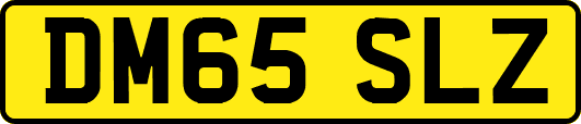 DM65SLZ