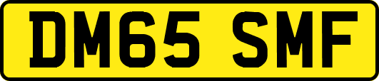 DM65SMF