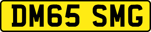 DM65SMG