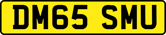DM65SMU