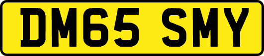 DM65SMY