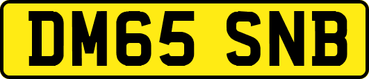 DM65SNB