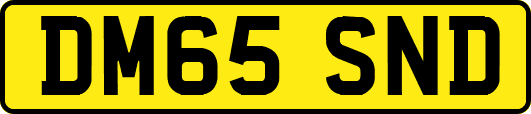 DM65SND