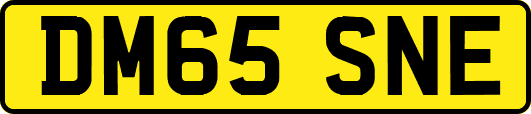 DM65SNE
