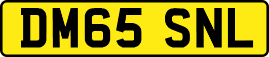 DM65SNL