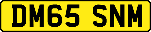 DM65SNM