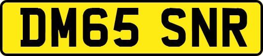 DM65SNR