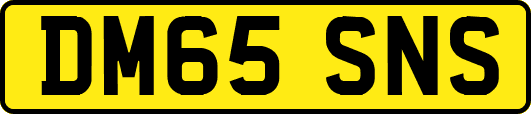 DM65SNS