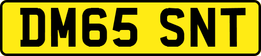 DM65SNT