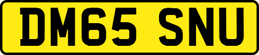 DM65SNU