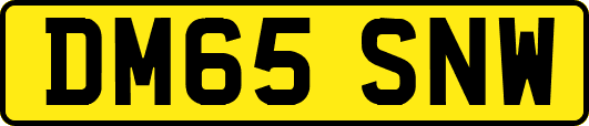 DM65SNW