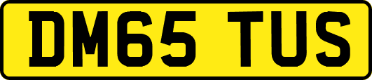 DM65TUS