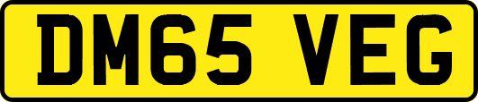 DM65VEG