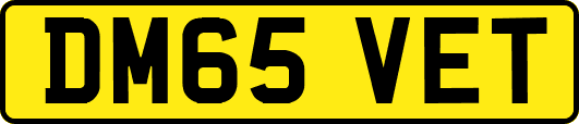 DM65VET