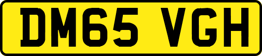 DM65VGH