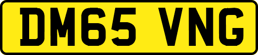 DM65VNG